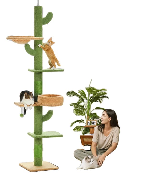Kaktuskatteträd, Justerbar Höjd 235 cm, 5-Nivå Design, Vänligt för Flera Katter,som bild, AMT0246GN