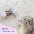 Miniatyrbild 5 av 6: Rootz Cat Scratching Post - Cat Tree - Stor visningsplattform - Hållbar plysch/sisal - 60 cm x 40 cm x 84 cm