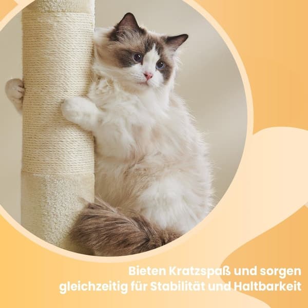 Rootz Cat Tree Scratching Post - Large Platform - Cat Tower - Bekväm & hållbar - 68 cm x 48 cm x 101 cm