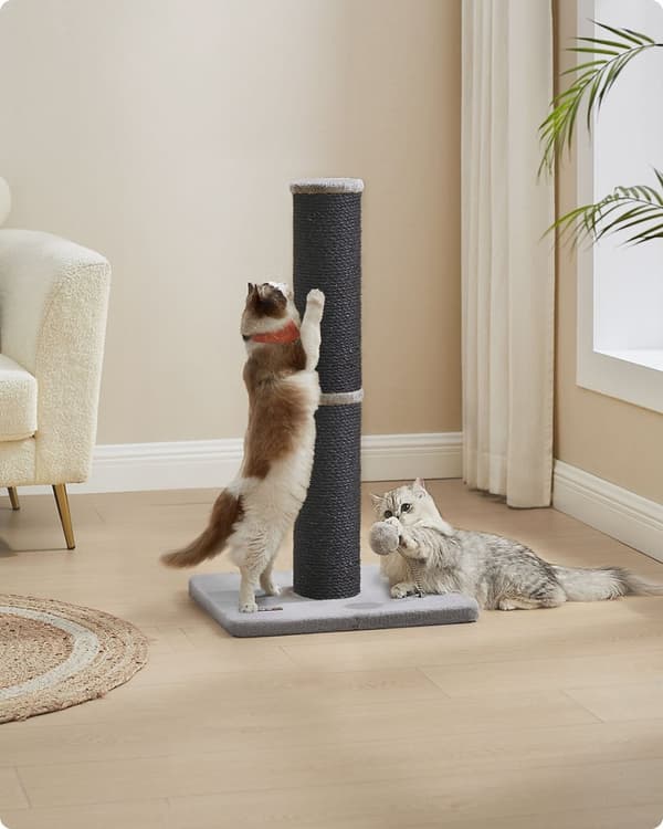 Rootz Scratch Tree - Cat Climbing Tower - Pet Play Tower - Hållbar sisal - 50 cm x 40 cm x 85 cm - Svart och grått