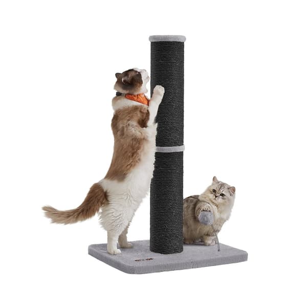 Rootz Scratch Tree - Cat Climbing Tower - Pet Play Tower - Hållbar sisal - 50 cm x 40 cm x 85 cm - Svart och grått