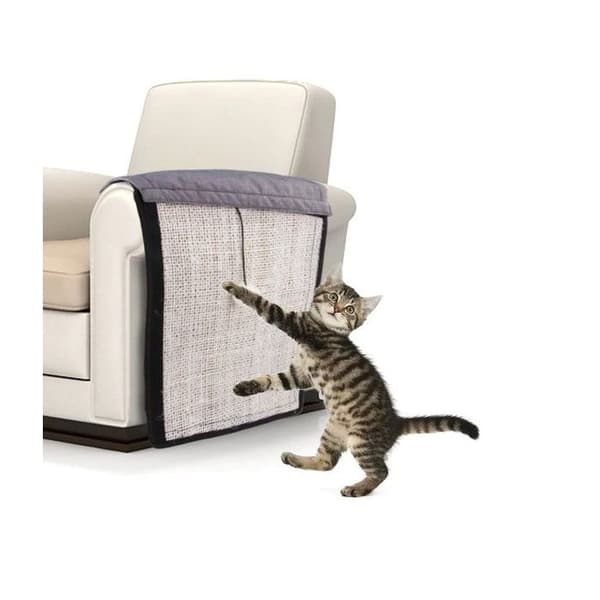 Kattskrapsmatta skyddar soffan