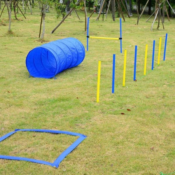 Rootz Dog Agility Tunnel - keltainen, sininen - pe, polyesteri - 58,26 cm x 60 cm x cm