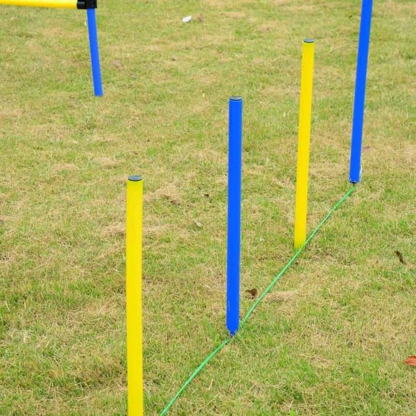 Rootz Dog Agility Tunnel - keltainen, sininen - pe, polyesteri - 58,26 cm x 60 cm x cm