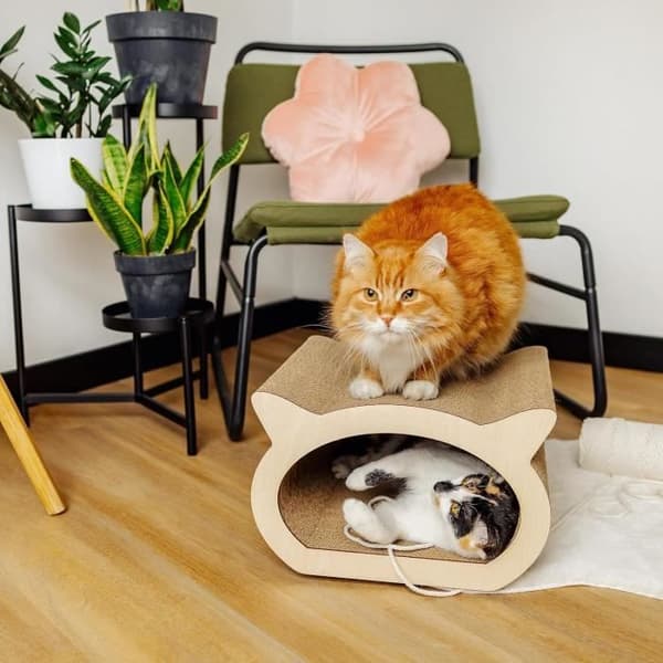 Kreativa husdjur Kattskrapstolpe 37 x 36 x 23 cm + Kartonghus | Cat Scratcher förstärkt med plywood | Möbelskydd
