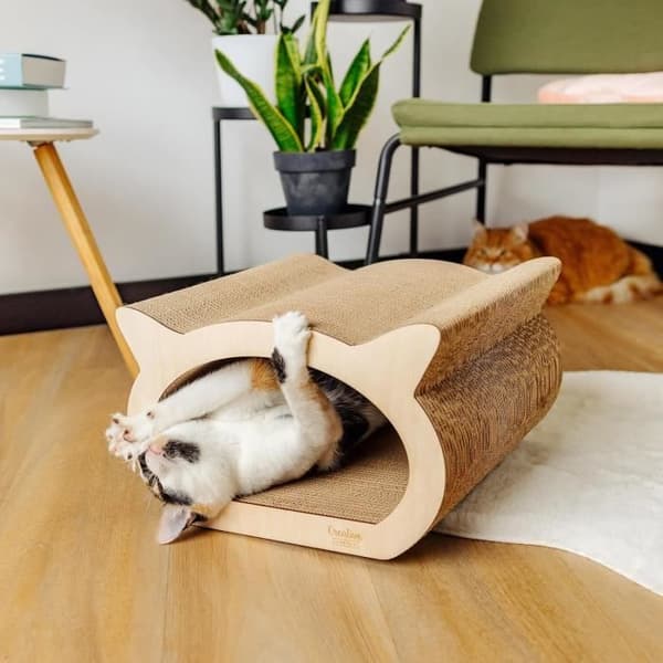 Kreativa husdjur Kattskrapstolpe 37 x 36 x 23 cm + Kartonghus | Cat Scratcher förstärkt med plywood | Möbelskydd