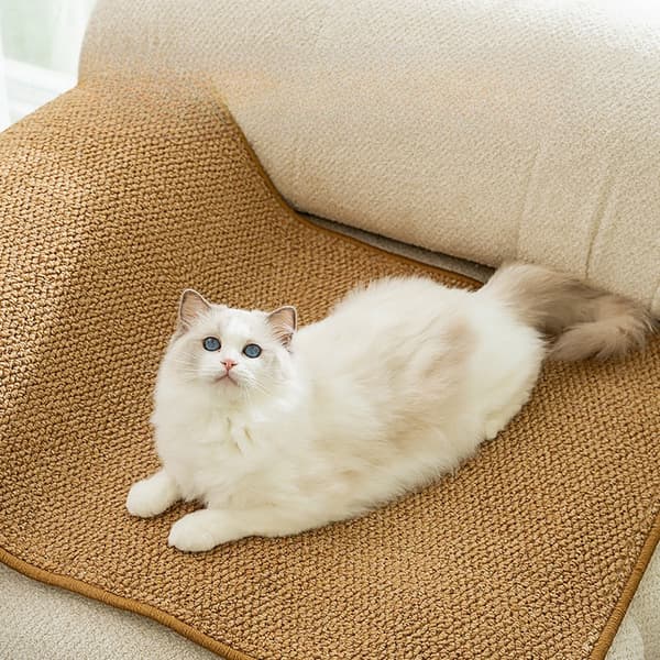 INF Cat Scratching Pad med kardborre