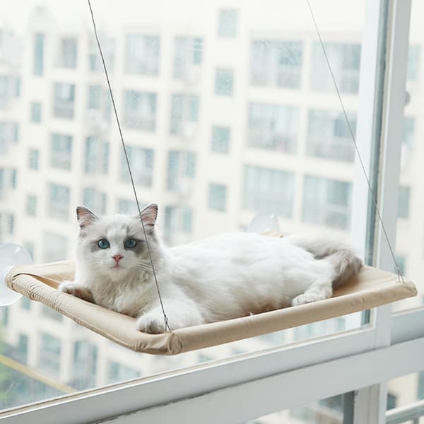 Kattbädd Fönster, Säkerhetskatt Hyllor Platsbesparande Fönstermonterad