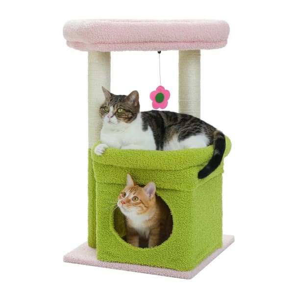 Katt Trädtorn, Privat Lägenhet, Naturliga Sisal Klöspelare,AMT0179PK, EN BILD