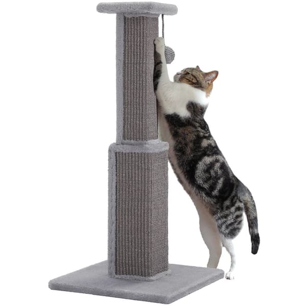 80CM Kattklösträd, Hållbar Sisal, Stabil Bas,AMT0269GY, M