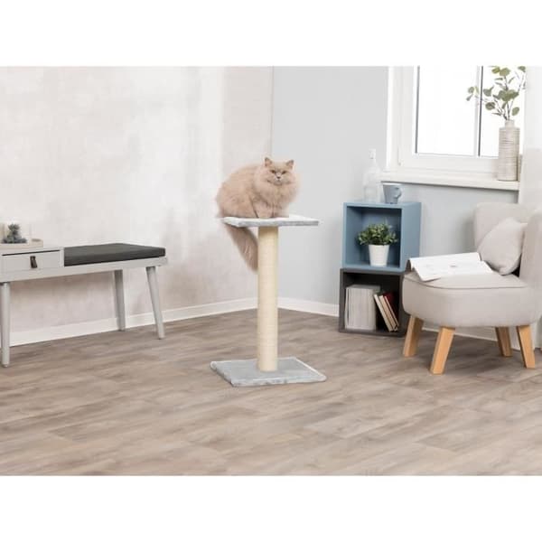 TRIXIE Espejo Skrapstolpe Kattträd Höjd 69 cm platinagrå plysch och naturlig sisal