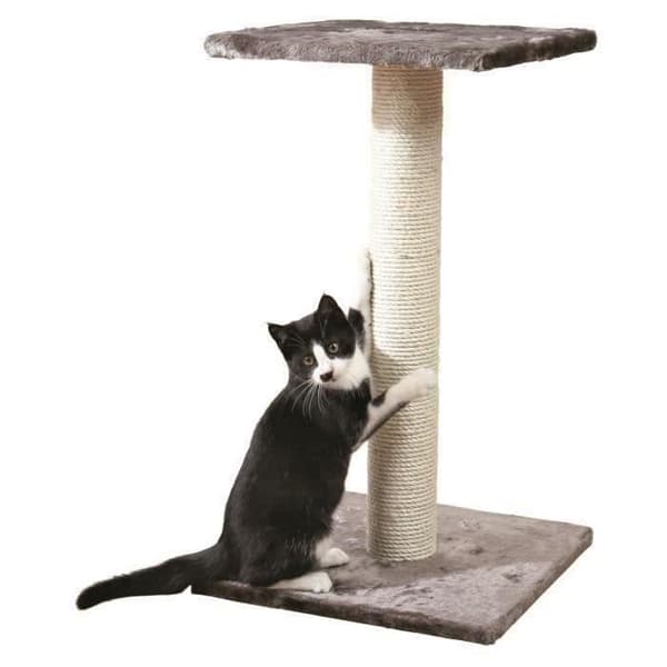 TRIXIE Espejo Skrapstolpe Kattträd Höjd 69 cm platinagrå plysch och naturlig sisal