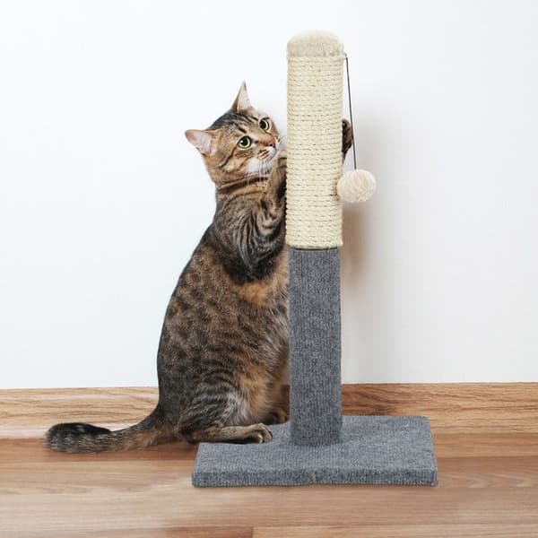 Relaxdays Kattträd, Klösträd, Klösbräda, Lekboll, Grå, M8, Sisal, Modern, Design, Inomhus, H : 54 cm, grå