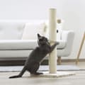 Miniatyrbild 4 av 4: Kerbl Cat Scratcher Opal Maxi 78 cm Beige