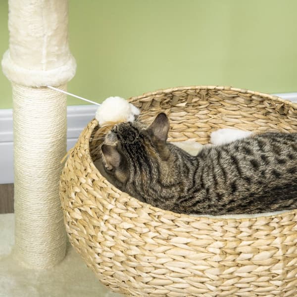 Klätterträd för Katt 72 cm med Bäddar & Lekboll