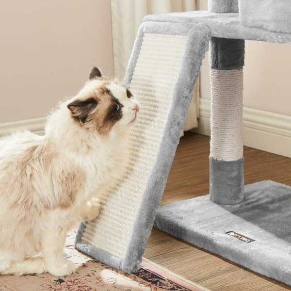 Kradsehus til katte, kattehus 115 cm, kradserampe