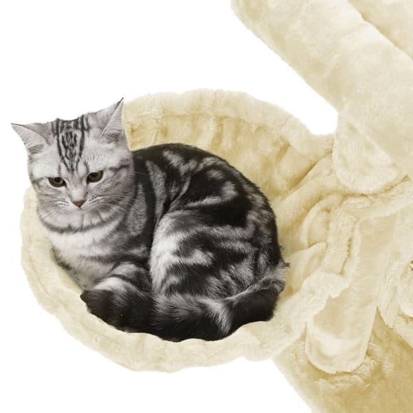 Klösträd för katter, katttorn, förlängd sittpinne