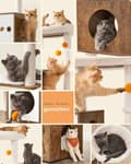 Miniatyrbild 7 av 7: Klösträ för katt med kattlåda 185 cm hög klösträ för katt klösträ plattform tvättbar kudde