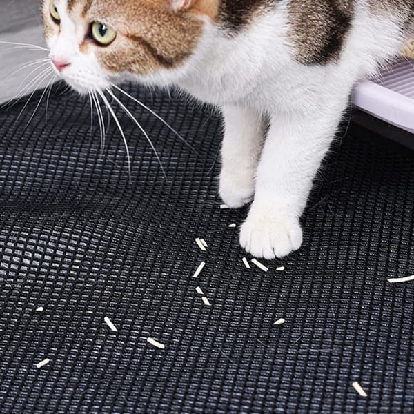 Lollanda Kattlåda med droppskyddsmatta – slitstark och miljövänlig, vattentät och halkfri kattmatta med kant för spillskydd