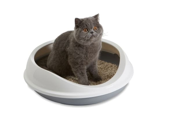 Savic Figaro kattebakke, grå/hvid