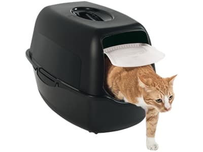 Rotho Bailey, Katt, Kattedo med lokk, Sort, Spenne, Karbon, 560 mm