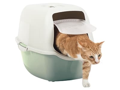 Rotho Bailey, Katt, Kattsandlåda med tak, Grön, Vit, Hake, Kol, 560 mm