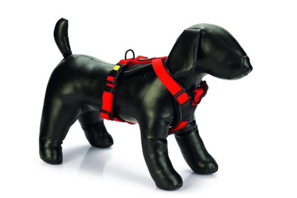 Beeztees Prem Y-Harness Parinca Red 38-48X20