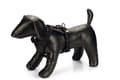 Miniatyrbilde 3 av 4: Beeztees Prem Y-Harness Parinca Blck 38-48X20