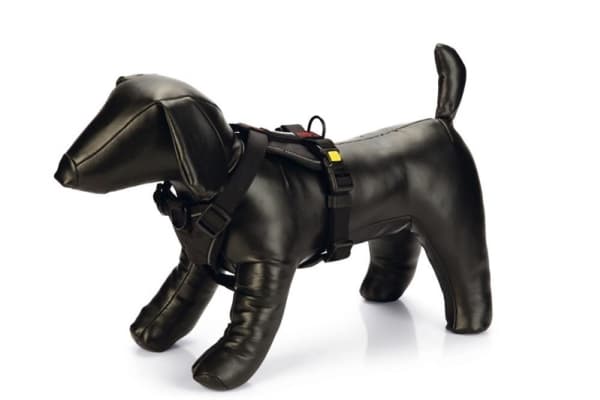 Beeztees Prem Y-Harness Parinca Blck 38-48X20
