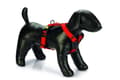 Miniatyrbilde 3 av 3: Beeztees Prem Y-Harness Parinca Red 60-76X25