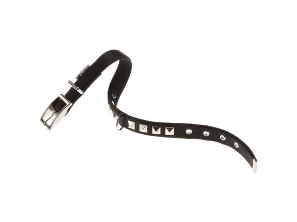 Ferplast DUAL CF20/43 PI BLACKCOLLAR