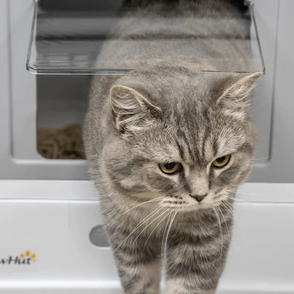 Rootz Cat kattlåda - Skopa ingår - Strölåda med främre ingångsutgång - Bärbar - Djurtoalett med stort utrymme - Lätt att montera - Grå - 47,5 x 35,5 x