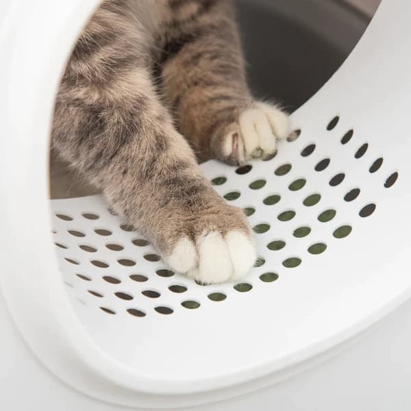 Rootz kattsandlåda - med huva för katter - upp till 5 kg - kattlåda med lock - nätbas - plast - vit - 55 x 40 x 39 cm
