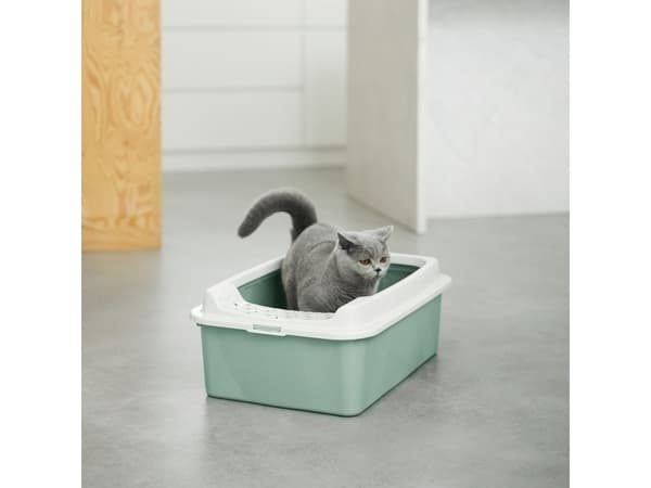 Rotho Bonnie, Katt, Öppen kattlåda, Grön, Grå, Hake, 572 mm, 393 mm