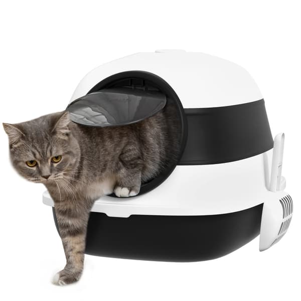 Rootz PawHut Cat WC - hiekkalaatikko - Cat Loo - Estää roskien leviämistä - Hajunhallinta - Helppo puhdistaa - 52cm x 41cm x 38cm - Muovi, ABS