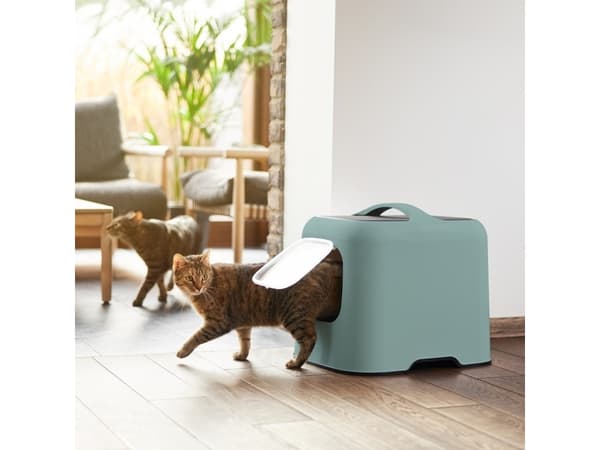 Rotho BIALA, Katt, Kattsandlåda med tak, Grön, Plast, 395 mm, 510 mm