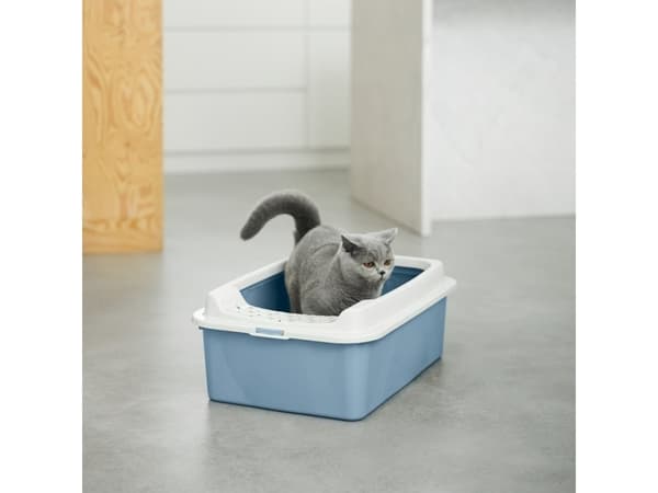Rotho Bonnie, Katt, Öppen kattlåda, Blå, Grå, Hake, 572 mm, 393 mm