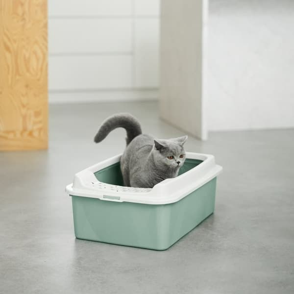 ROTHO Bonnie Eco Green - kattsandlåda