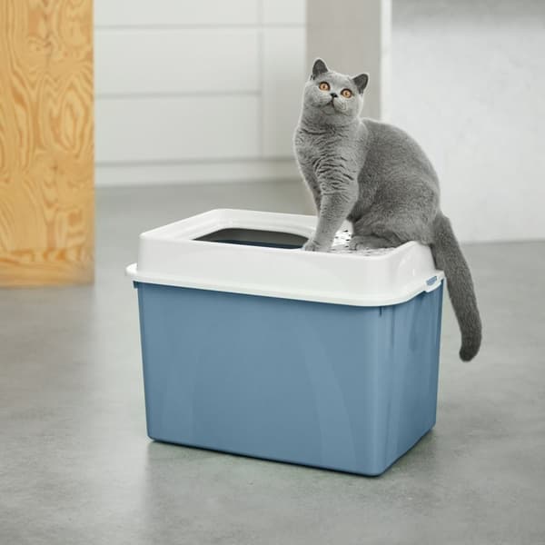 ROTHO Berty Eco Blue - kissanhiekkalaatikko