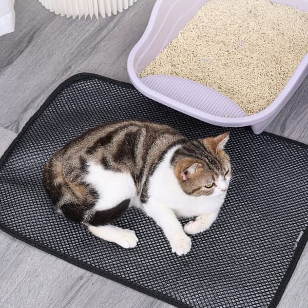 Smidig Kattlåda matta, kattsand matta, Flera storleksalternativ