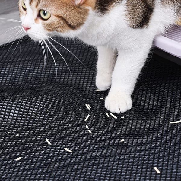 Smidig Kattlåda matta, kattsand matta, Flera storleksalternativ