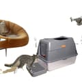 Miniatyrbillede 1 af 2: Kattebakke, holdbar konstruktion, smart dobbelt indgang,1