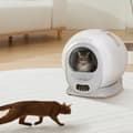 Miniatyrbillede 2 af 2: Automatisk Kattebakke, Smart Teknologi, Rummelig Design,ingen app