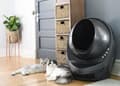Pikkukuva 8 / 11: Automaattinen kissanhiekkalaatikko, itsepuhdistuva, Litter Robot III Connect WIFI, harmaa