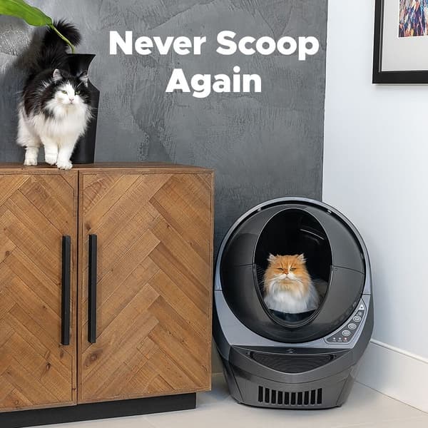 Automaattinen kissanhiekkalaatikko, itsepuhdistuva, Litter Robot III Connect WIFI, harmaa