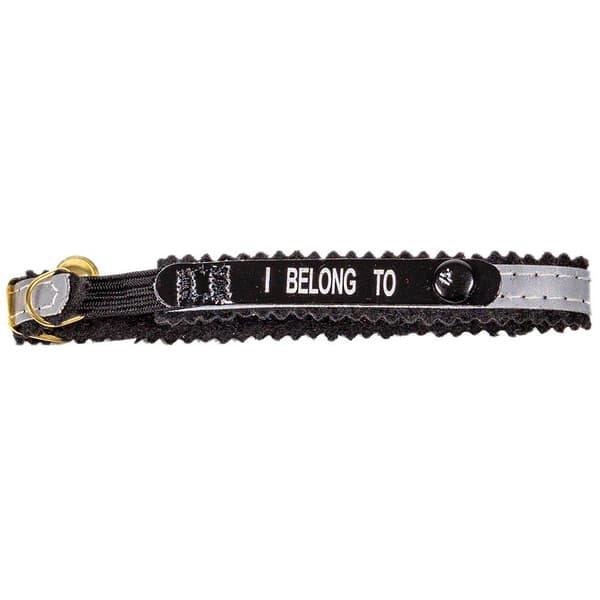 Halsband med reflex, adressflik, bjällra och texten "I Belong To"
