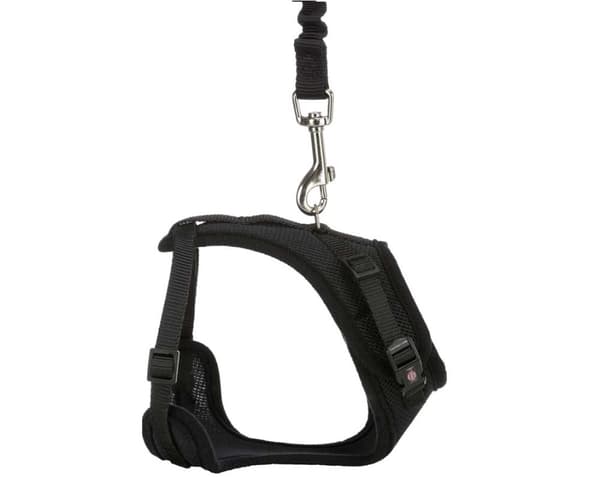 Y-sele för katt - med elastiskt koppel - 39-60 cm/10 mm - 1.00 m Svart