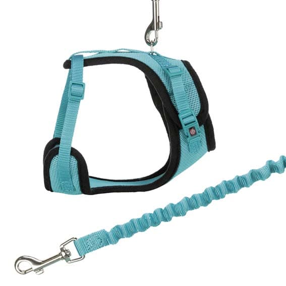 Y-sele för katt - med elastiskt koppel - 39-60 cm/10 mm - 1.00 m Blå