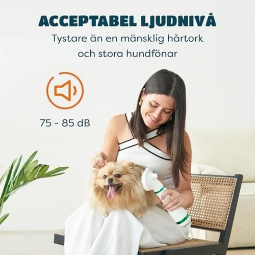 Lemmikkien hiustenkuivain 2 Slicker Brush Groomingilla kissoille ja koirille