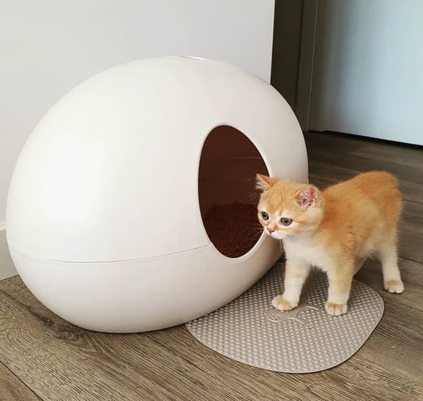 United Pets kattmatta. Välj färg: ljusgrå